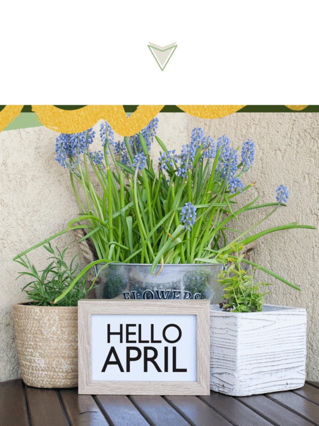 What Foods Can You Plant in April (Story)