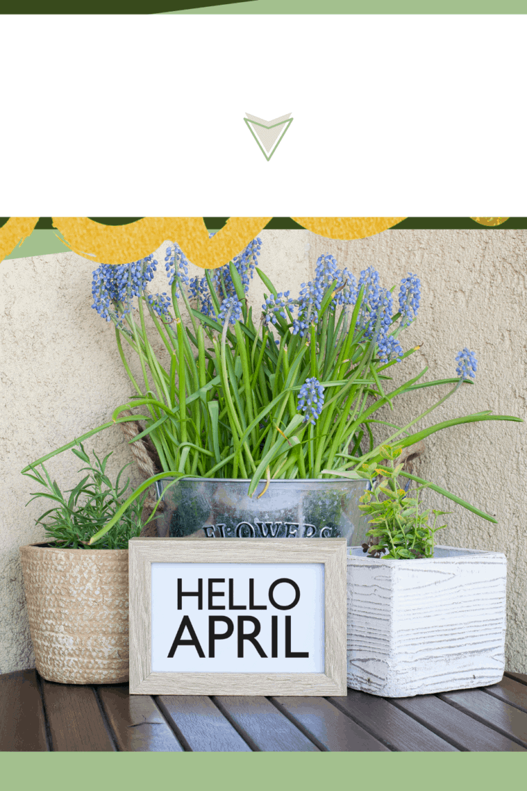 What Foods Can You Plant in April (Story)