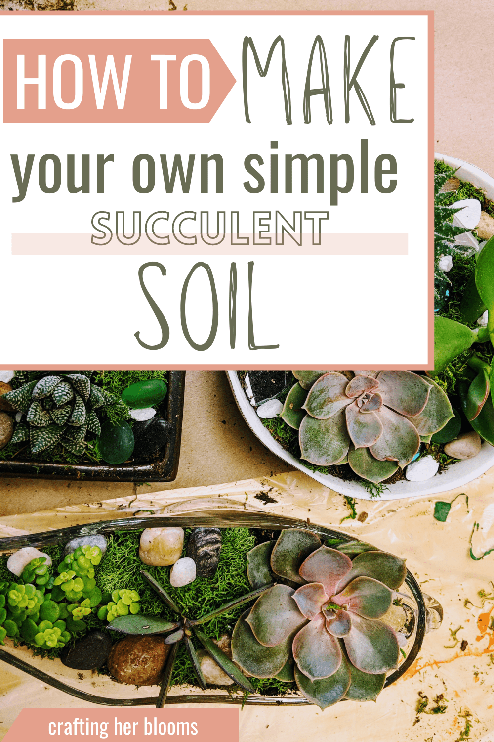 DIY Succulent Soil: A Recipe for Success - Crafting Her Blooms